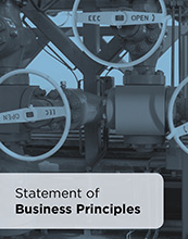 Kosmos Business Principles